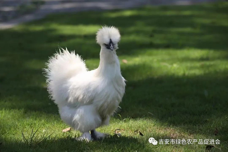 微信图片_20230625112146.jpg