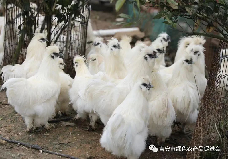 微信图片_20230625112151.jpg