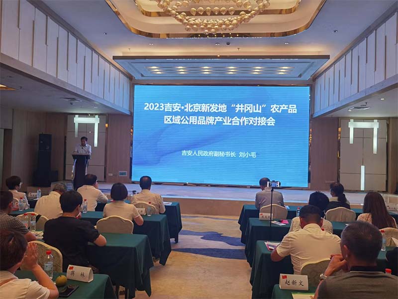 图片1_0011_图片3.jpg